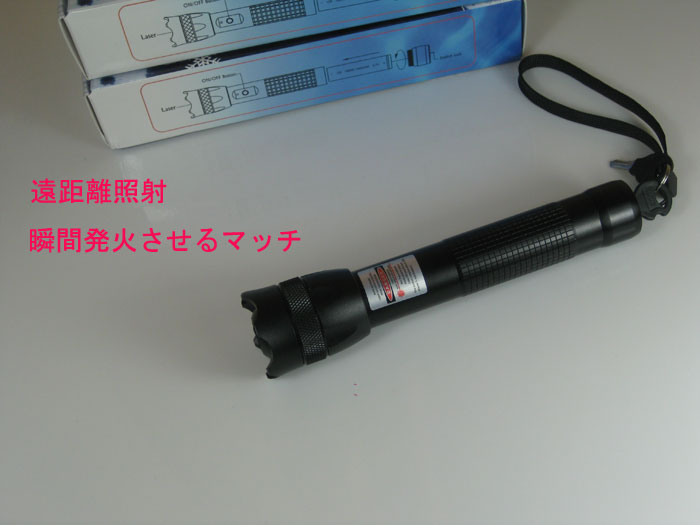 レザーポインター 激安